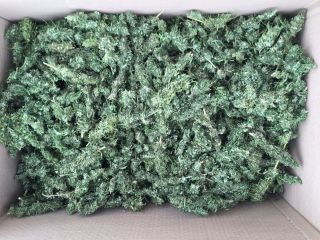In the offer of an industrial hemp pan, the