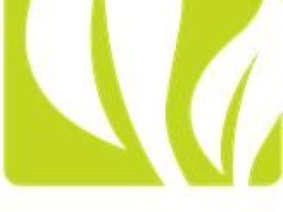 The BROMEX Poland company will buy: KMINEK, KOLENDRĘ, GORCZYCE,