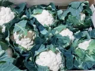 I will buy fresh vegetables, cauliflower, broccoli, I invite