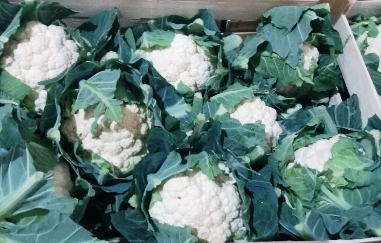 I will buy fresh vegetables, cauliflower, broccoli, I invite farmers and producer groups to cooperate