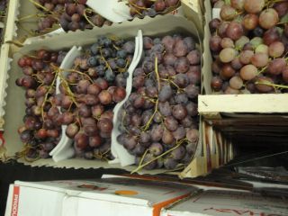 To sell wholesale quantities of Red Globe Grapes packed