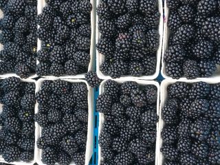 I will sell blackberry 500 g. I collect 400