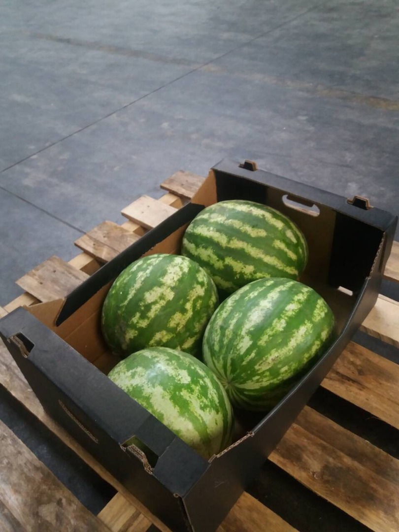 I will sell a fresh, nice, juicy watermelon