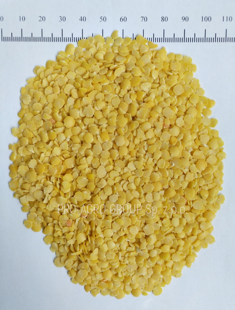 *** Yellow lentils (halves) *** Quality parameters: Purity - 99.9% Humidity - no more than 12.0% Garbage admixtures - 0% Caliber - 5+ Harvest 2017 (Russia)