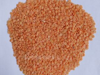 *** Red lentils (halves) *** Quality parameters: Purity -