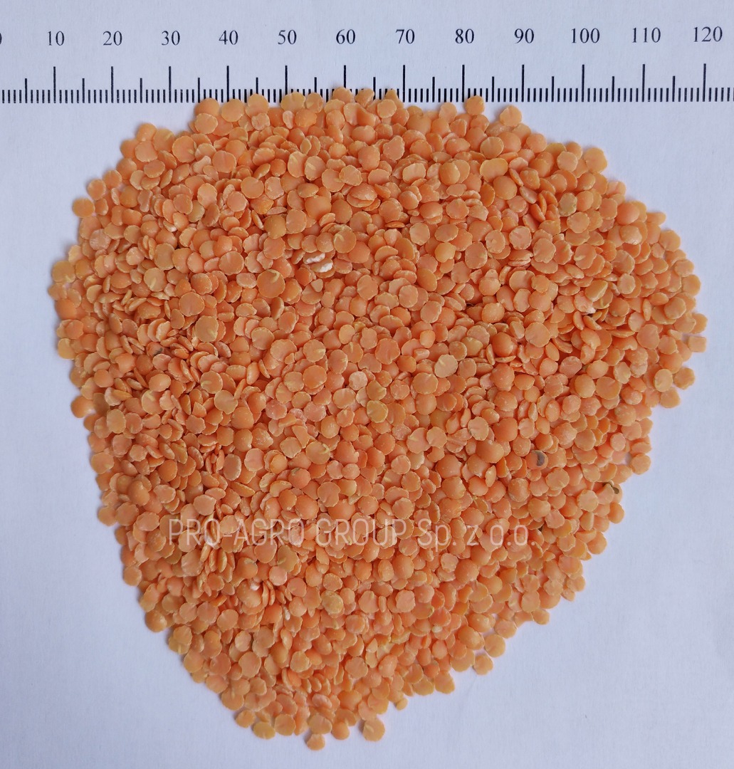 *** Red lentils (halves) *** Quality parameters: Purity - 99.9% Humidity - no more than 12.0% Garbage admixtures - 0% Caliber - 4+ Harvest 2017 (Russia)