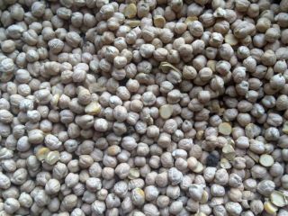 own Ukrainian production (2018), size of seeds: 8-12 mm;