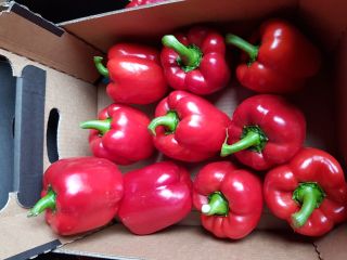 I will sell red, yellow and green class I