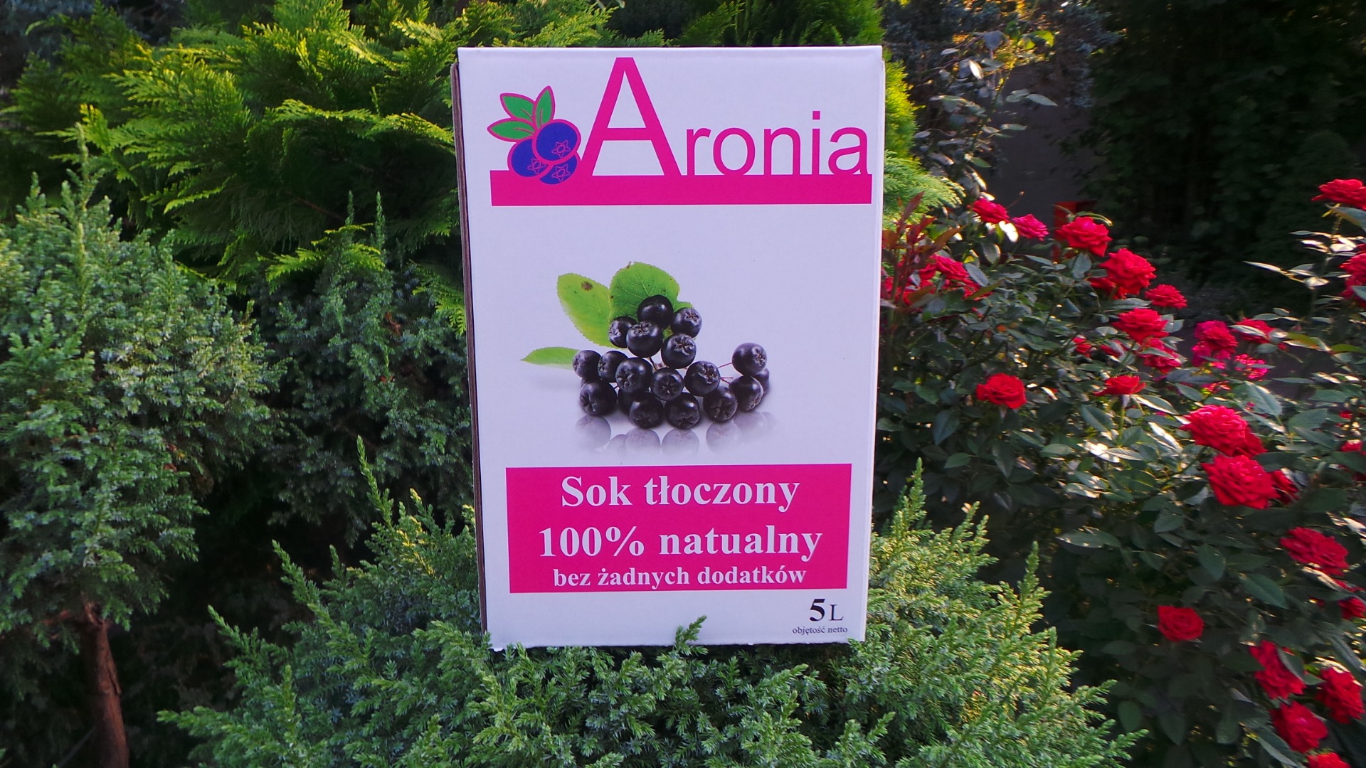 PLN 5l- PLN 30 100% SOKE FROM ECOLOGICAL-5L Ecological Aronia Juice 5L in a pack Bag in box Without added water, no added sugar and no preservatives, it is a