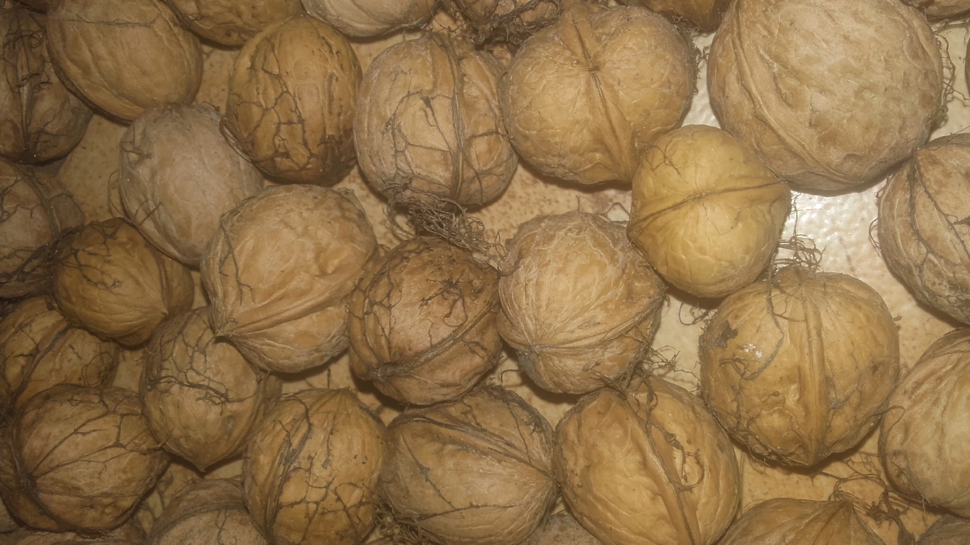 I will sell walnuts, unshelled, organic, dried