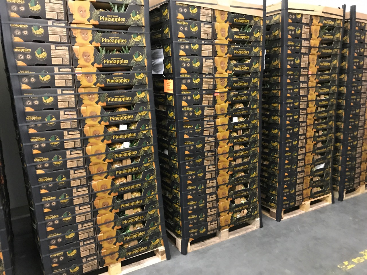 Sells Pineapple MD-2 Weight Cartons 11.5 kg Color from 0.5 to 1.5
