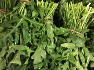 I will sell rocket in bunches. Vegetable producer sells