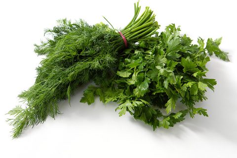 Sale of dill and parsley in large quantities