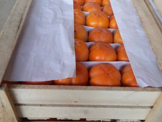 I offer the possibility of importing kaki fruit. The