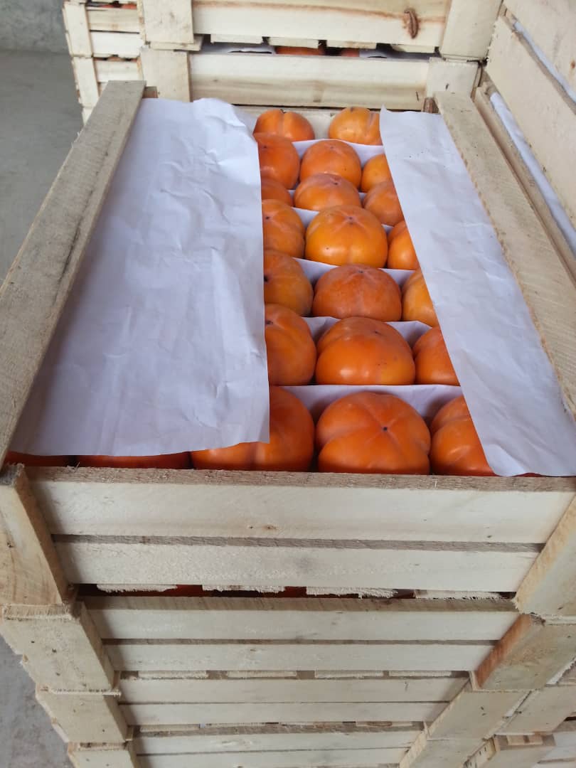 I offer the possibility of importing kaki fruit
