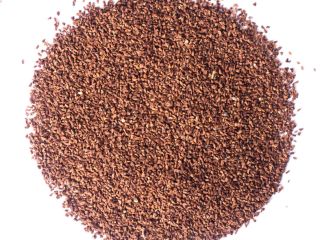 I would like sell Evening Primrose Seeds with price