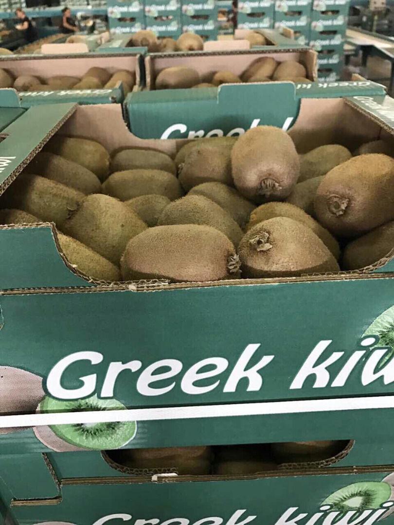 KIWI I GATUNKU FROM GREECE We sell a Kiwi variety Chehelidi, Hayward, Flute, caliber 18 - 20 - 23 - 25 - 27 - 30 - 33 36 - 39