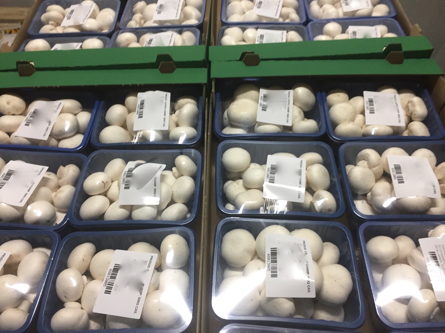I will sell mushrooms, loose and packed mushrooms, packaging to be agreed
