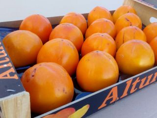 A large producer sells persimmon fruit. Fruit of very