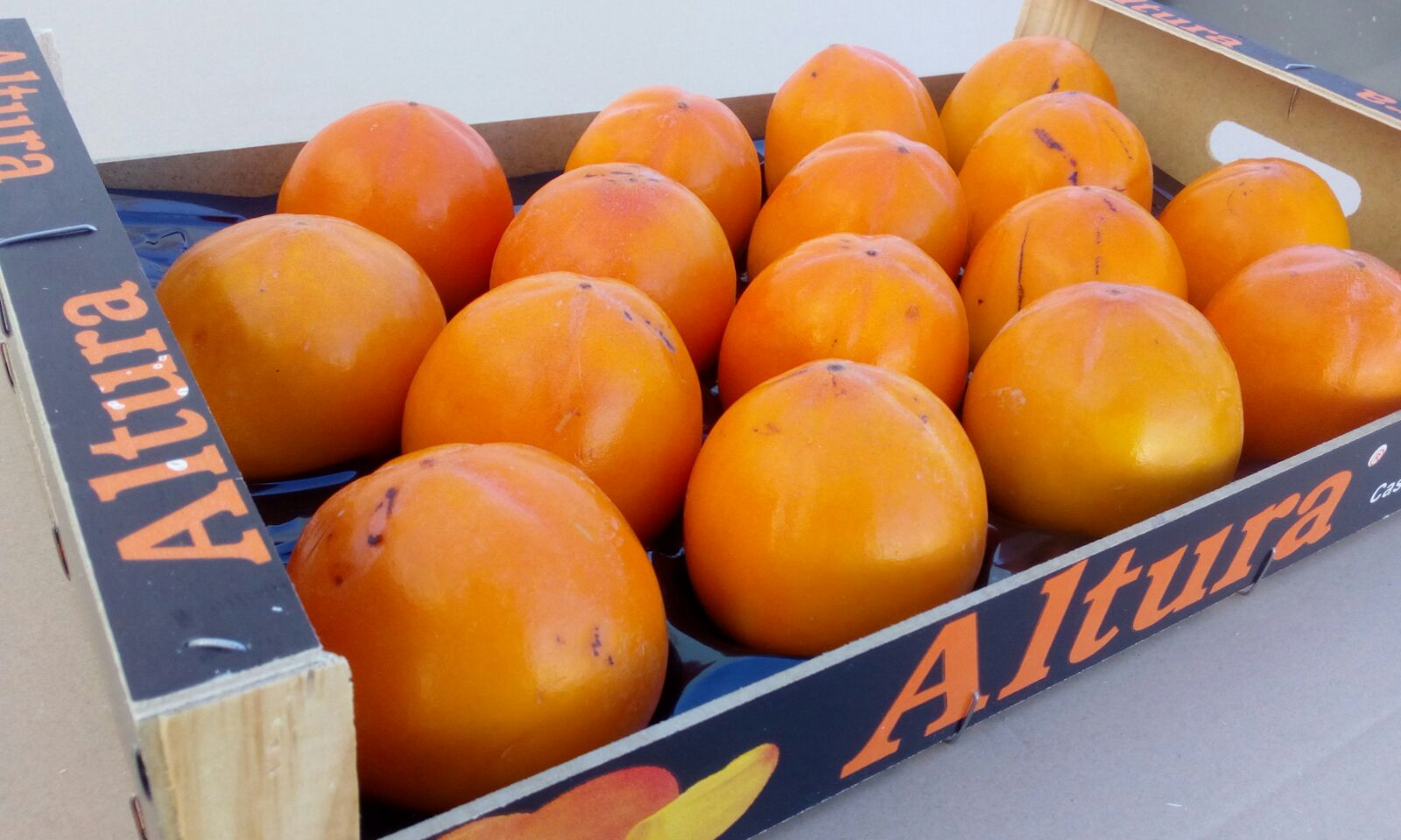 A large producer sells persimmon fruit