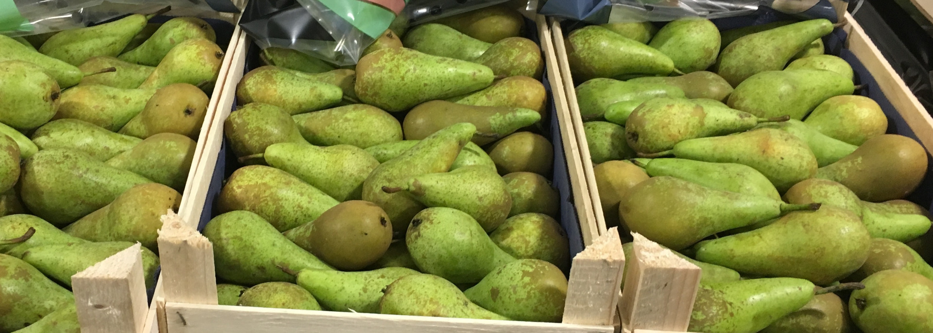Pear Conference all calibers from 55+ to 75+