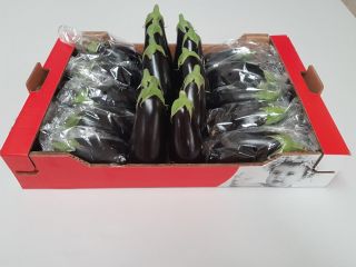On sale a Spanish eggplant (large) without intermediaries (straight