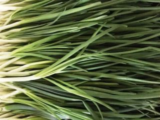 I will sell fresh green fresh available quantities of