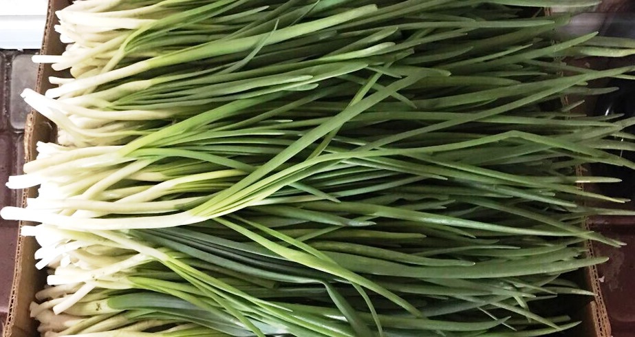 I will sell fresh green fresh available quantities of up to 1 ton per day