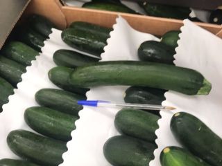 I will sell zucchini. Wholesale quantities. Good price. Free