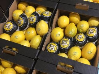 Lemon from Spain. Good price. Free packaging. Goods to