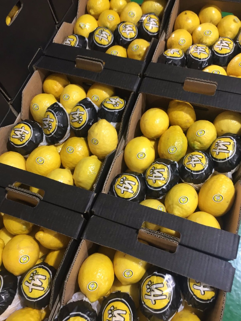 Lemon from Spain