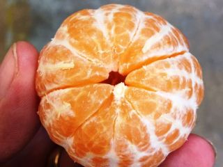 I will sell a mandarin - size 3.4 -