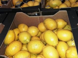 I will sell a lemon, import from Spain, 2nd