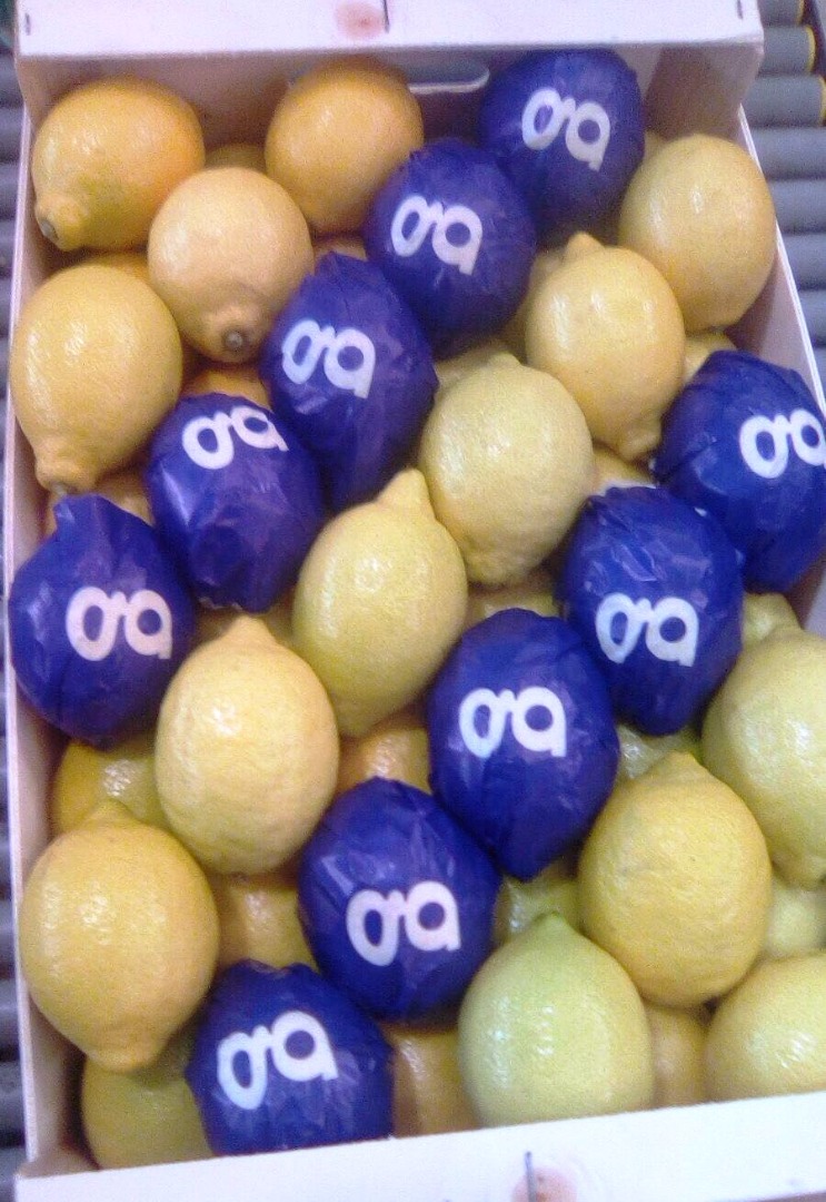 I will sell lemon, first class, import from Spain, fresh, nice