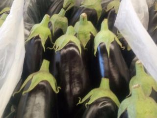 I will sell aubergine, import from Spain, 1 class,