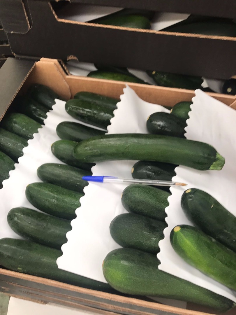 I will sell zucchini, import from Spain, nice, fresh, G21 / 28, 5 kg carton