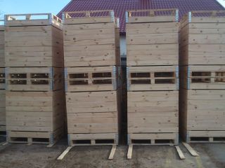 Hello. The sawmill producing pallets and boxes offers the