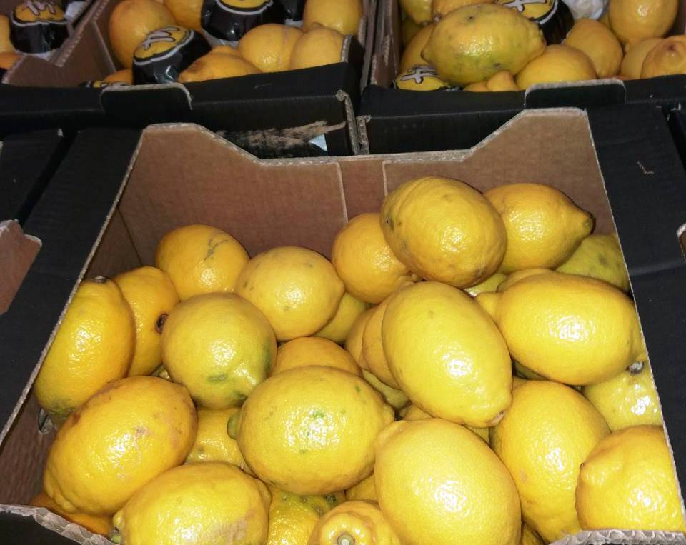 I will sell lemon, class II, import from Spain, skin defect, high-quality pulp