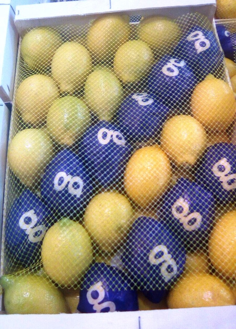 I will sell lemon, first class, import from Spain, 3/4/5 in a loose, high quality pulp