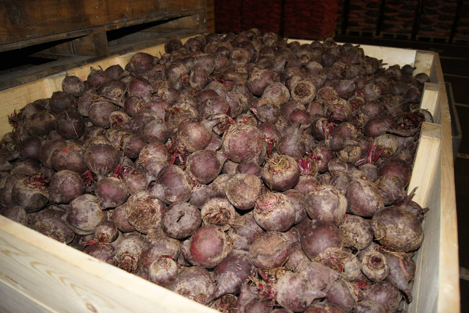 I will sell beetroot, caliber to be agreed