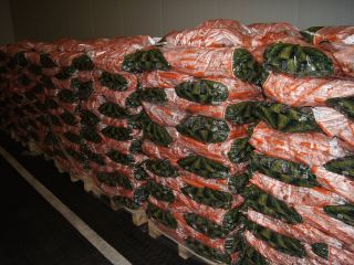 I will sell cleaned, polished and calibrated carrots to