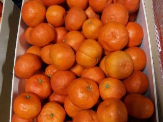 Tangerines for sale, II class, import from Spain, 10