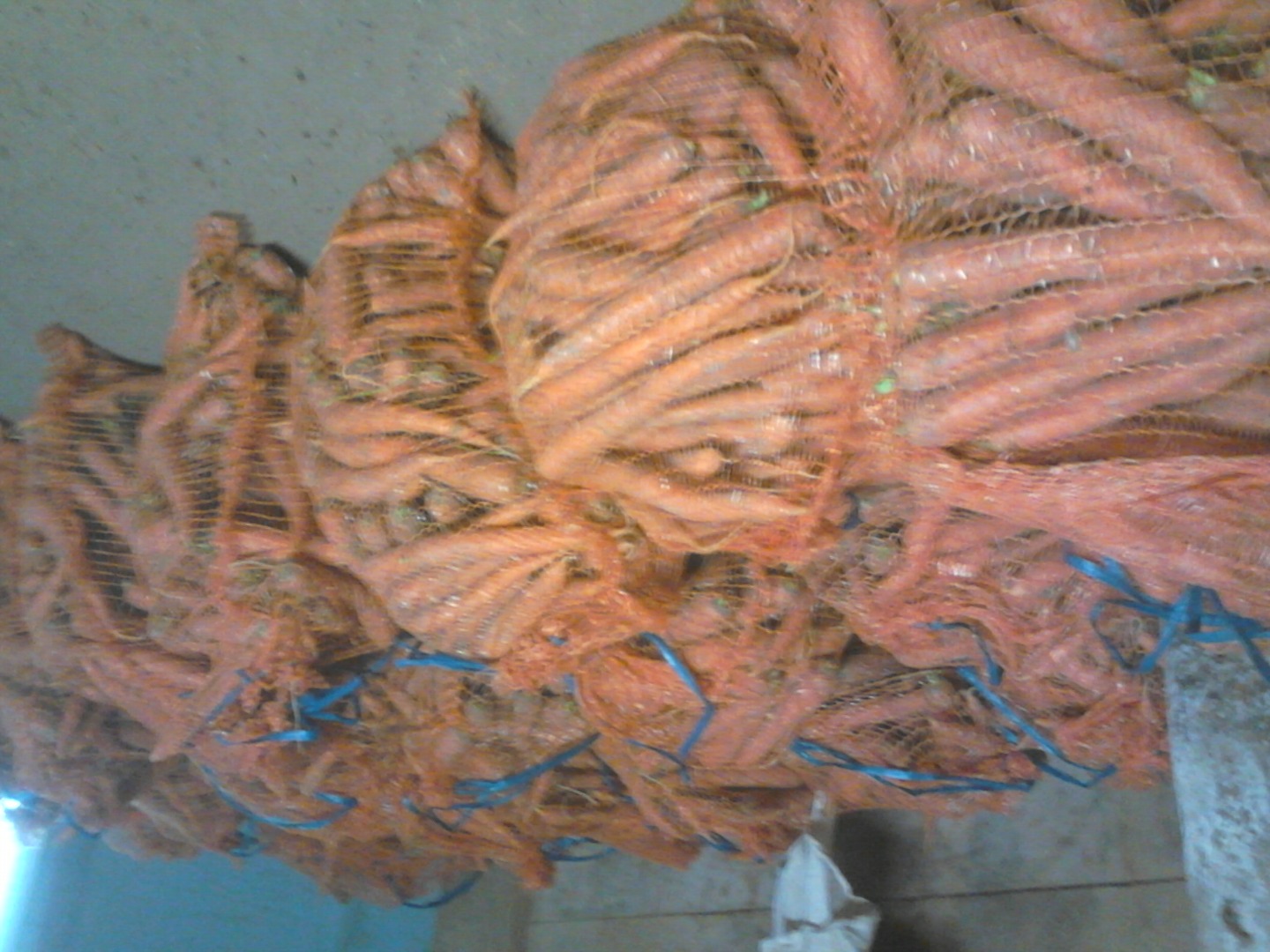 I will sell forage fodder