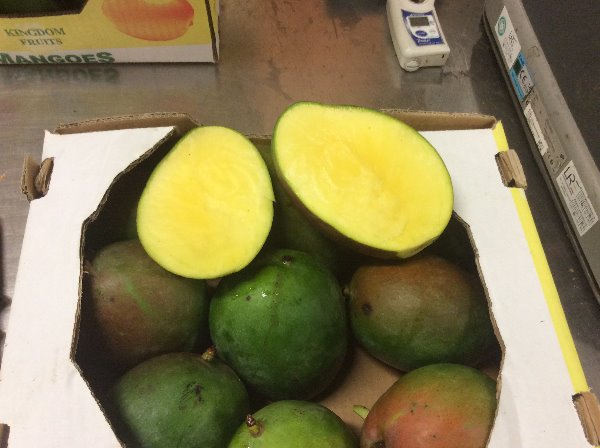 I will sell fresh mango, origin - West African countries