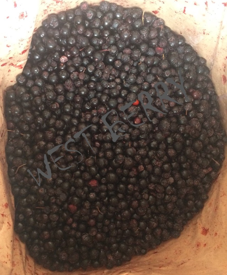 We will sell frozen chokeberry from Ukraine - 10 875 kg
