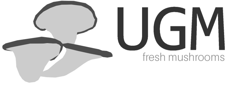 We offer a continuous sale of Oyster Mushroom