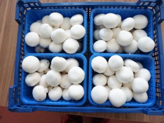 Hello . I will sell white mushrooms of various