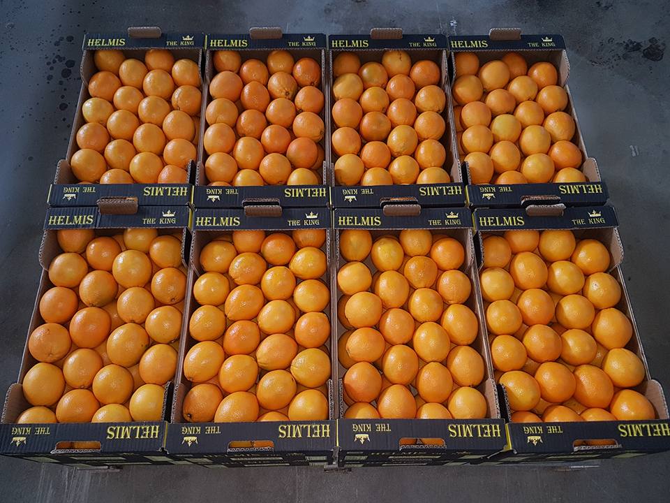 Good morning, we offer citrus from Greece directly from the producer