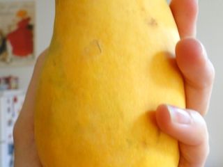 I have access to the best, the sweetest mango