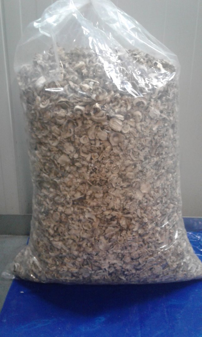 I have to offer dried mushrooms KL.II